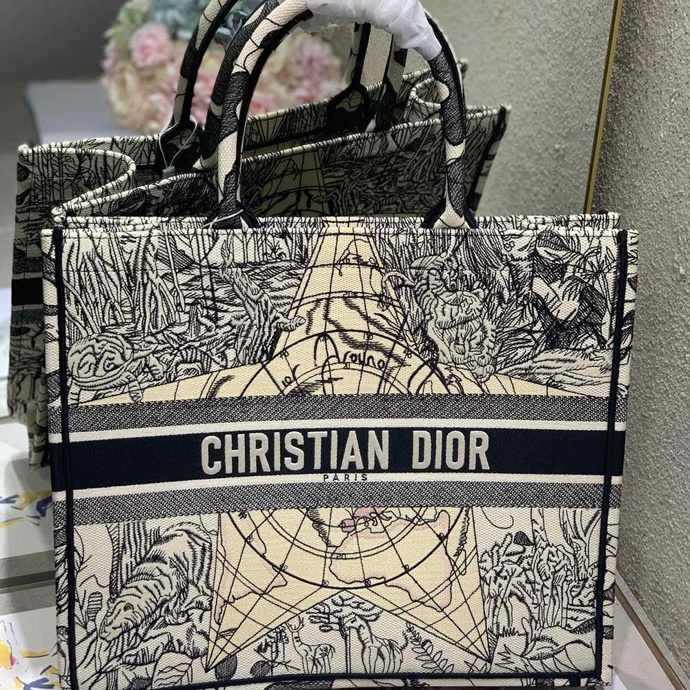 Dior Book Tote