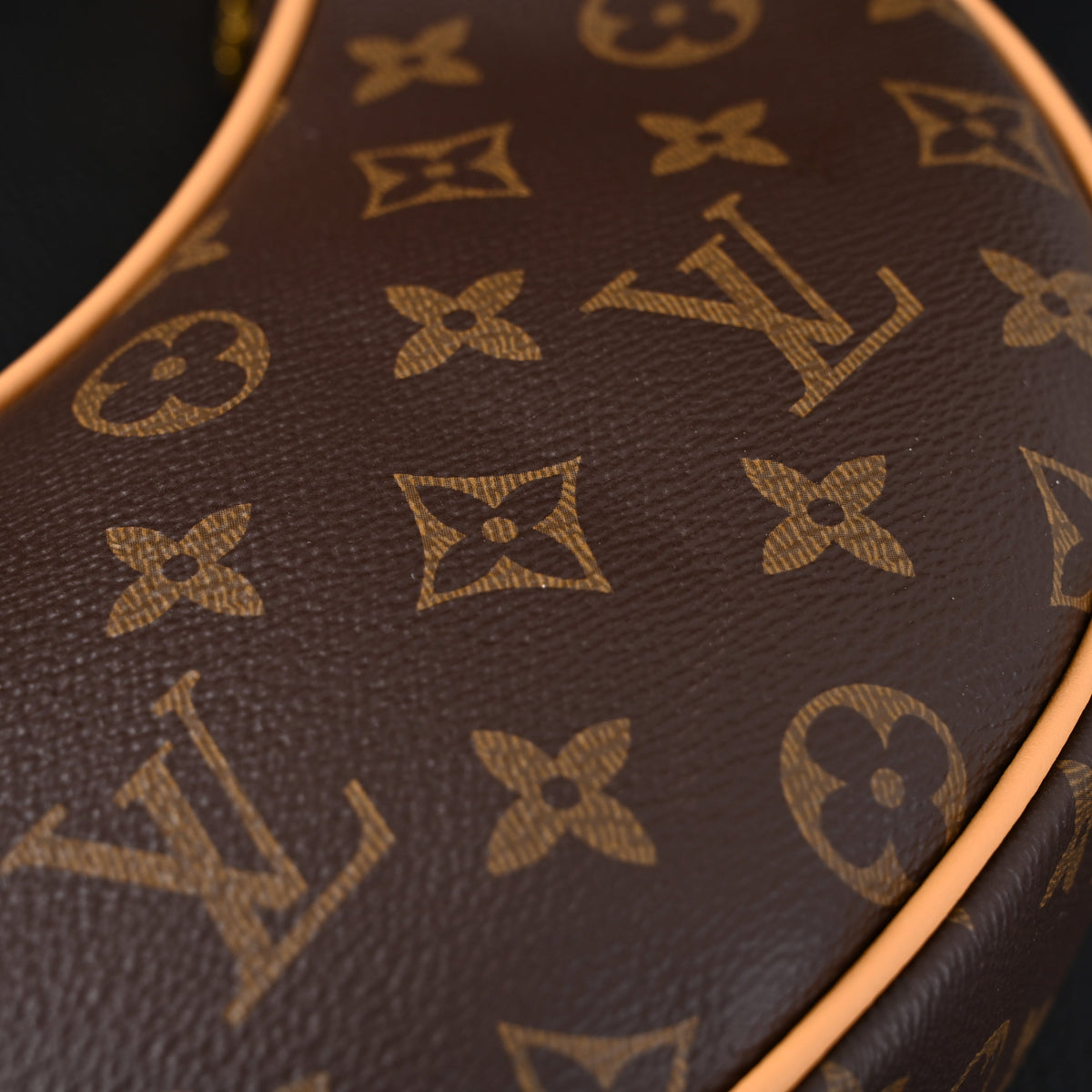 Louis Vuitton Loop Bag – Monogram Canvas with Gold Chain