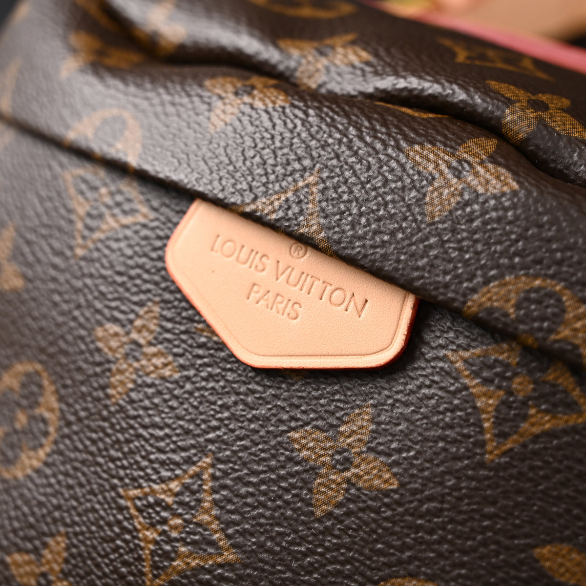 Louis Vuitton Bumbag – Monogram Canvas Waist & Crossbody Bag